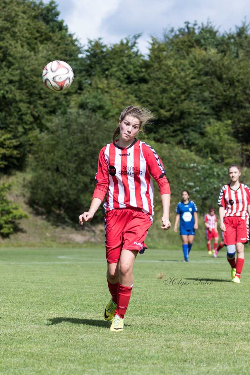 Bild 216 - B-Juniorinnen TuS Tensfeld - FSC Kaltenkirchen : Ergebnis: 3:6